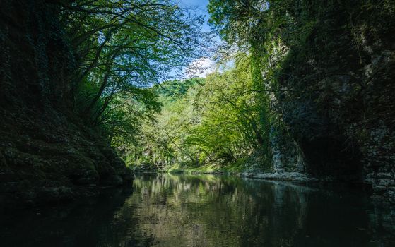 mountain river among stone rocks with green plants in the Martvili Canyon in Georgia in autumn