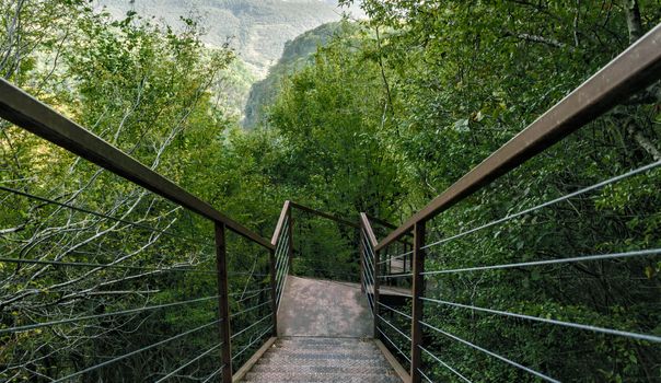iron stairs in a forest with green trees in a canyon in Georgia in autumn