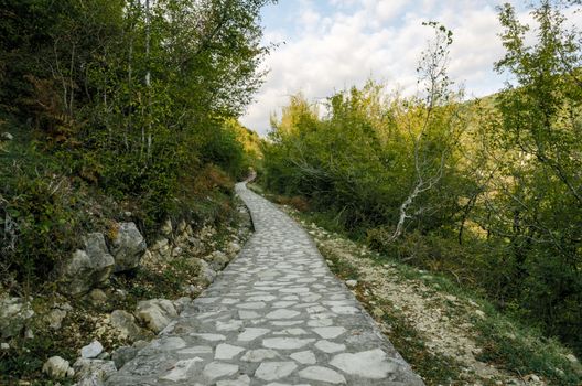 stone footpath in a forest with green trees and blue sky in Georgia in autumn