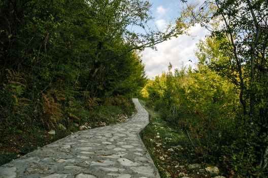 stone footpath in a park with green trees and blue sky in Georgia in autumn