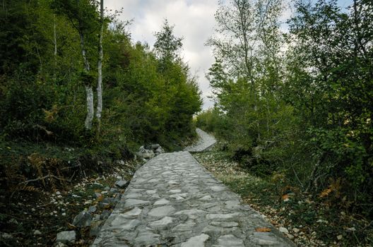 stone walking path with green trees and blue sky in Georgia in autumn