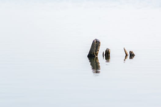 wooden posts in calm lake water in the afternoon autumn background