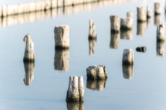wooden posts in calm lake water in the afternoon autumn