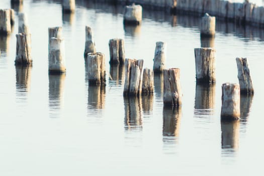 wooden posts in calm lake water in the afternoon autumn