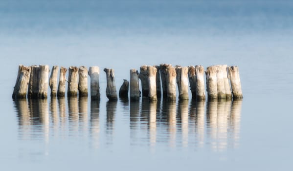 wooden posts in calm lake water in the afternoon autumn