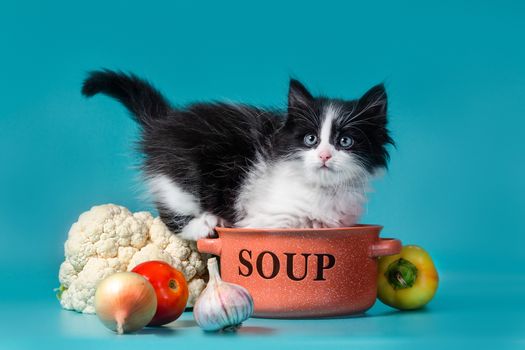 cooking black and white fluffy kitten in an orange soup bowl with vegetables