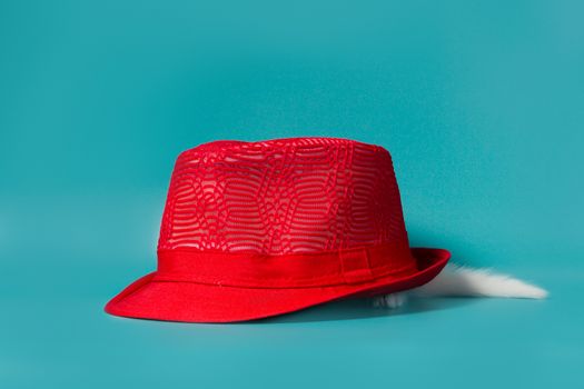 little white kitten tail is hiding under a red hat on a turquoise background