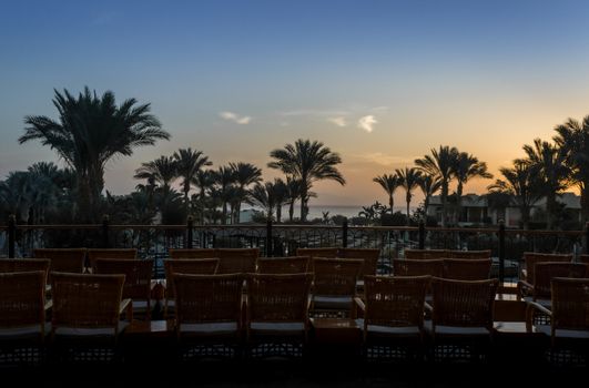 landscape dawn sky palms and hotel in egypt in Sharm El Sheikh