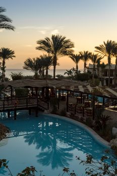 landscape dawn sky palms and hotel in egypt in Sharm El Sheikh