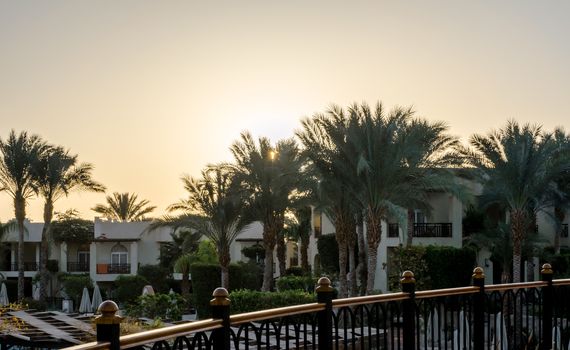 landscape dawn sky palms and hotel in egypt in Sharm El Sheikh