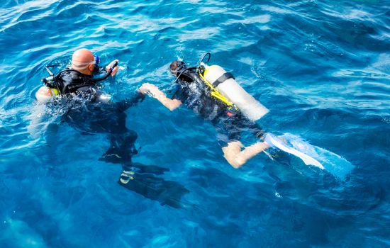 divers man and woman swim in the Red Sea in Egypt in Sharm El Sheikh