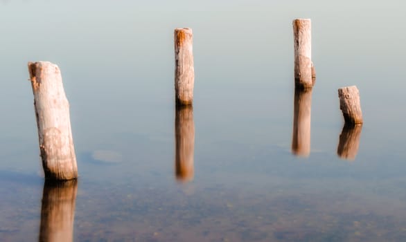 wooden columns in a calm surface of the water