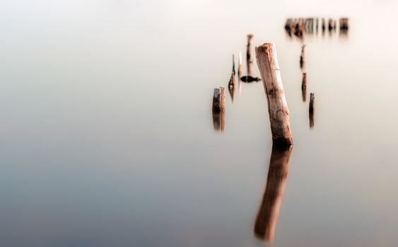 wooden columns in a calm surface of the water