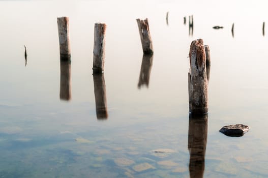 wooden columns in a calm surface of the water