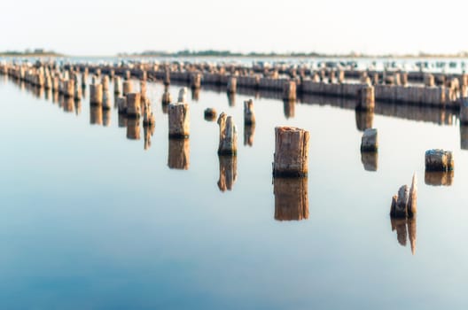 wooden columns in a calm surface of the water