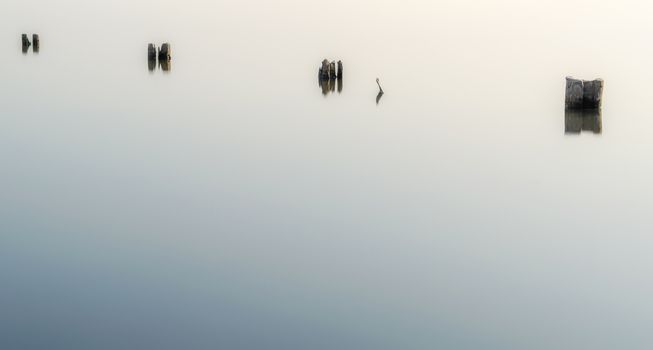 wooden columns in a calm surface of the water