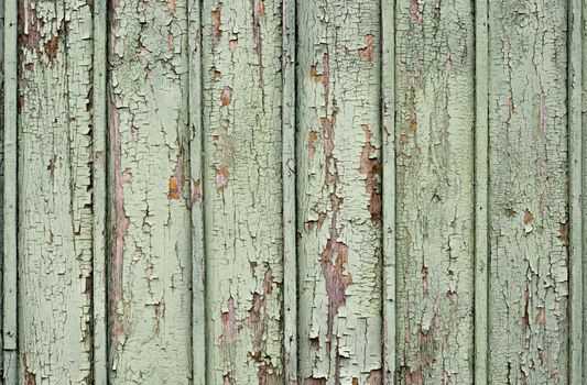 pattern texture background of old wooden surface painted with green paint
