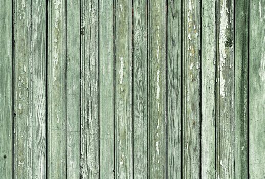 pattern texture background of old wooden surface painted with green paint
