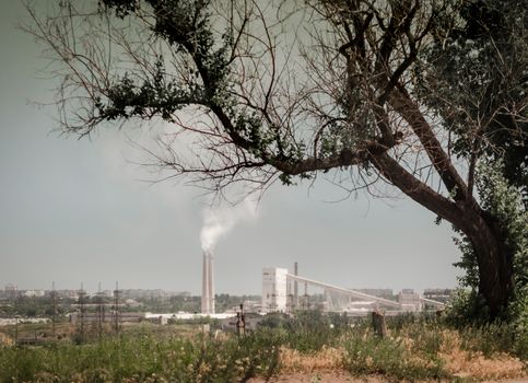 factory with smoky pipes on the background of a tree with dried branches and gray sky in Ukraine