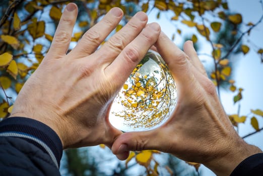 glass ball with the reflection of yellow leaves and tree branches in male hands