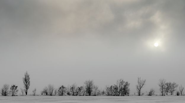 winter landscape snow on the ground and trees without leaves against the dark sky and the sun