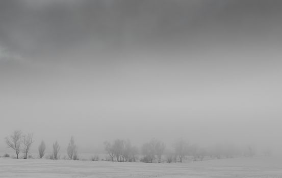 winter landscape snow on the ground and trees without leaves in the fog