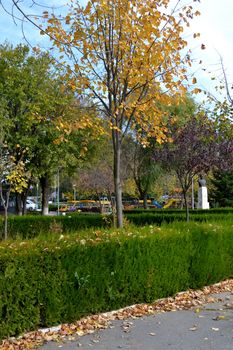 Autumn breaths in the city park
The season's vegetation is fantastic
Come see this fall on your travels