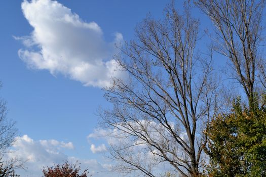 Autumn breaths in the city park
The season's vegetation is fantastic
Come see this fall on your travels