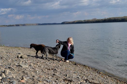 Autumn breaths on the Danube River.
The forests on the banks are fantastic.
Come see this fall on your travels