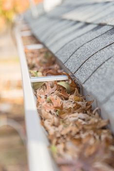 Selective focus clogged gutter near roof shingles of residential house full of dried leaves and dirty need to clean-up. Blocked drain pipe on rooftop. Gutter cleaning and home maintenance concept