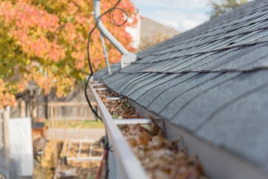 Messy gutter near roof shingles with colorful fall foliage and satellite dish in background. Clogged drain pipe full of dried leaves and dirty need to clean-up. Gutter cleaning, home maintenance concept