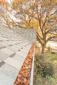 Front yard clogged gutter near roof shingles of residential house full of dried leaves and dirty need to clean-up. Blocked drain pipe on rooftop. Gutter cleaning and home maintenance concept
