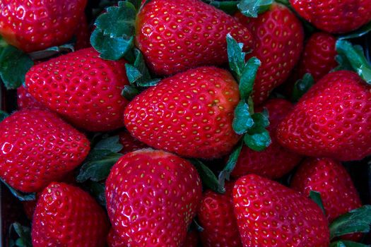 Food background from freshly harvested strawberries.