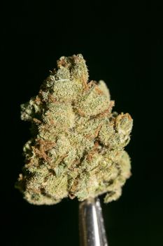 Cannabis macro in black background fifty megapixels