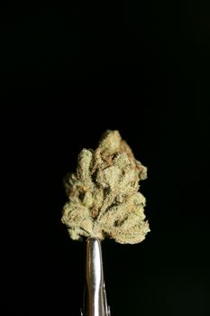 Cannabis macro in black background fifty megapixels