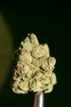 Cannabis macro in black background fifty megapixels