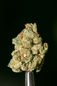 Cannabis macro in black background fifty megapixels