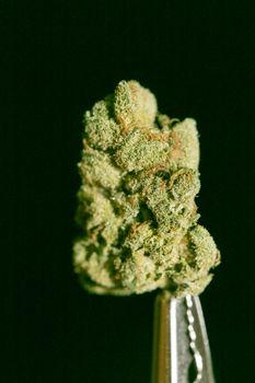 Cannabis macro in black background fifty megapixels