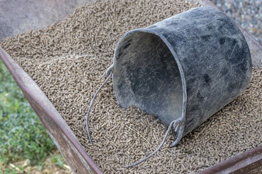 Wheelbarrow with pressed feed chunks as food for young cows and a black bucket
