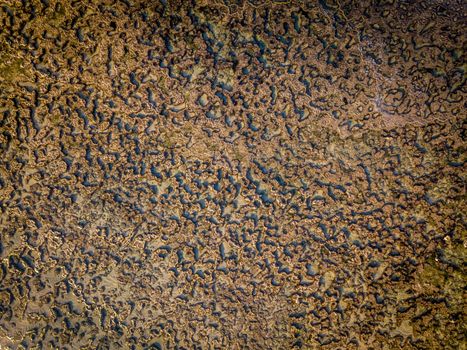 Drone picture of rocks in the Indian ocean, Tanzania.