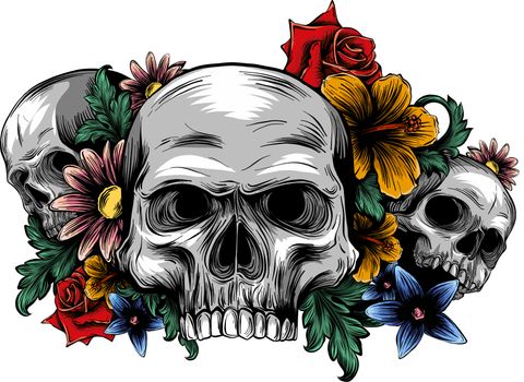 skulls with roses on white background