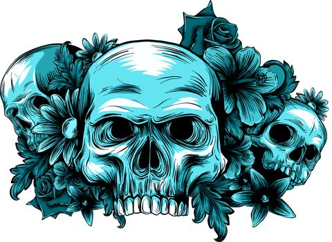 skulls with roses on white background