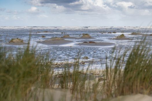 Beach on the wadden sea island of Terschelling, in the northern part of the Netherlands 
