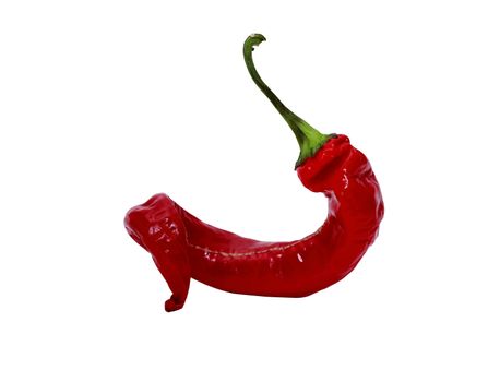 One red hot pepper isolated on white with clipping path