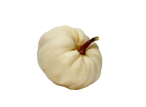 Nice small decorative pumpkin isolated on white with clipping path