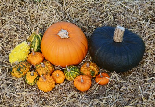 Orange pumpkin and large dark green gourd with unusual warted ornamental gourds on straw