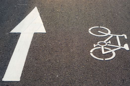 Bicycle lane marking or bike road sign with an arrow on the street in the public park.