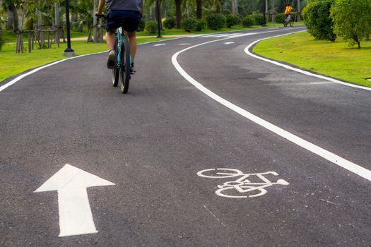 Bicycle lane marking or bike road sign with an arrow on the street in the public park.