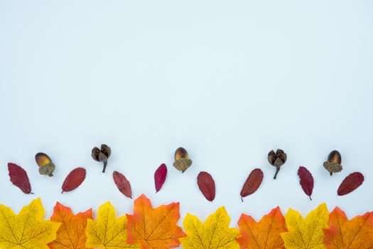 Frame of autumn leaves. Dried leaves, pumpkins, flowers on white background. Autumn, fall, Halloween, Thanksgiving day concept. Flat lay, top view, copy space.