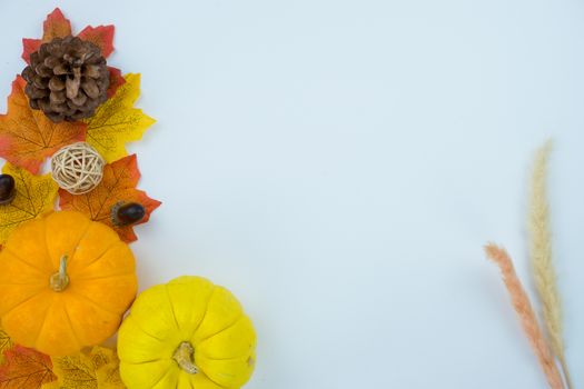 Frame of autumn leaves. Dried leaves, pumpkins, flowers on white background. Autumn, fall, Halloween, Thanksgiving day concept. Flat lay, top view, copy space.